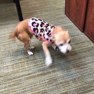 Meet your Posher, Judy